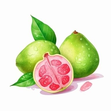 on white background cute and vibrant clipart featuring guava in watercolor style, hyper realistic photo flat color