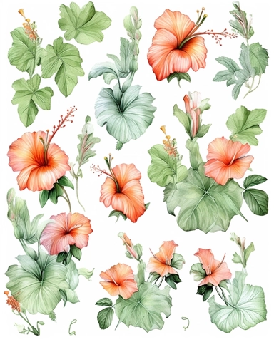 Watercolor flower, all colors of hibiscus floral garden Bouquets PNG Clipart, wedding digital wildflower green leaves herbs Lisima