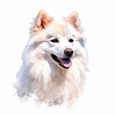 american eskimo dog watercolour painting realistic yet stylized, digitally enhanced, clipart, 32k uhd, detailed crosshatching white background