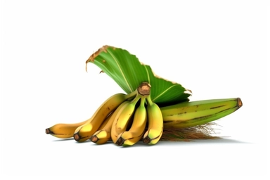 High-resolution, photorealistic clip art of a [palm tree with bananas], isolated on a clean [white] background, this image features no border, frame, text, or typography, ensuring a clean and clear visual, the expert lighting and texture details showcase object simplicity
