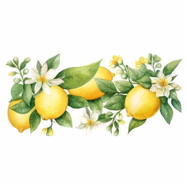 A banner design of watercolor lemons, hand painted clip art, botanical style, clipart images