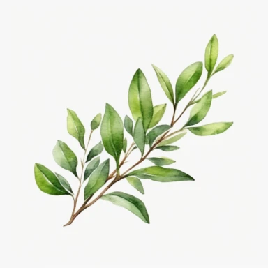 long leafy branch, Greenery Watercolor, Clipart, white background