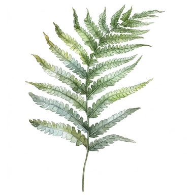 Clipart, vintage, watercolor, Unfurling Fern Leaf, botanical illustration, hand drawn, texture