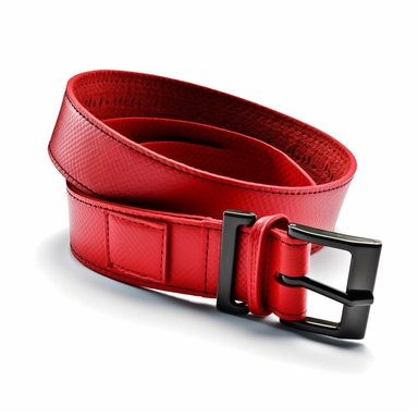 clipart red belt, photo realistic ,white background