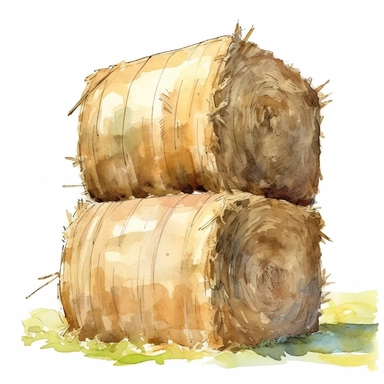 A Hay Bale clipart watercolor illustration, single object, high definition, white background for removing background