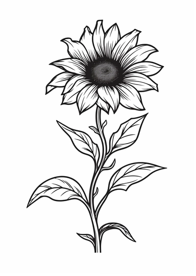 Simple outline of a sunflower, kids cartoon, minimalist, black on white, lineart, 2d flat file, silhouette, clipart, svg