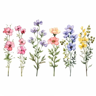 Watercolor wildflower chain clipart, pastoral nostalgia, lively illustrations, soft color, whimsical, high details, individually isolated on a white background