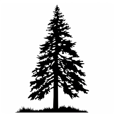 silhouette of fir tree clip art style black on plain white background clean bold lines