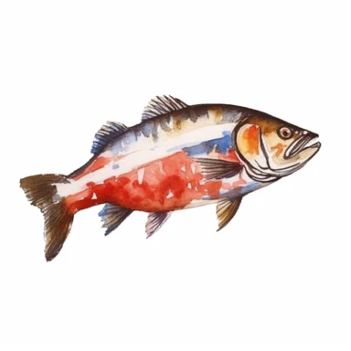 a Norway Norwegian Salmon in the style of watercolour clipart with detailed brush strokes