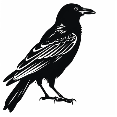 crow clipart, white background,