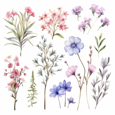 Light Watercolor Wild Floral clipart - Pre-made clipart v 5