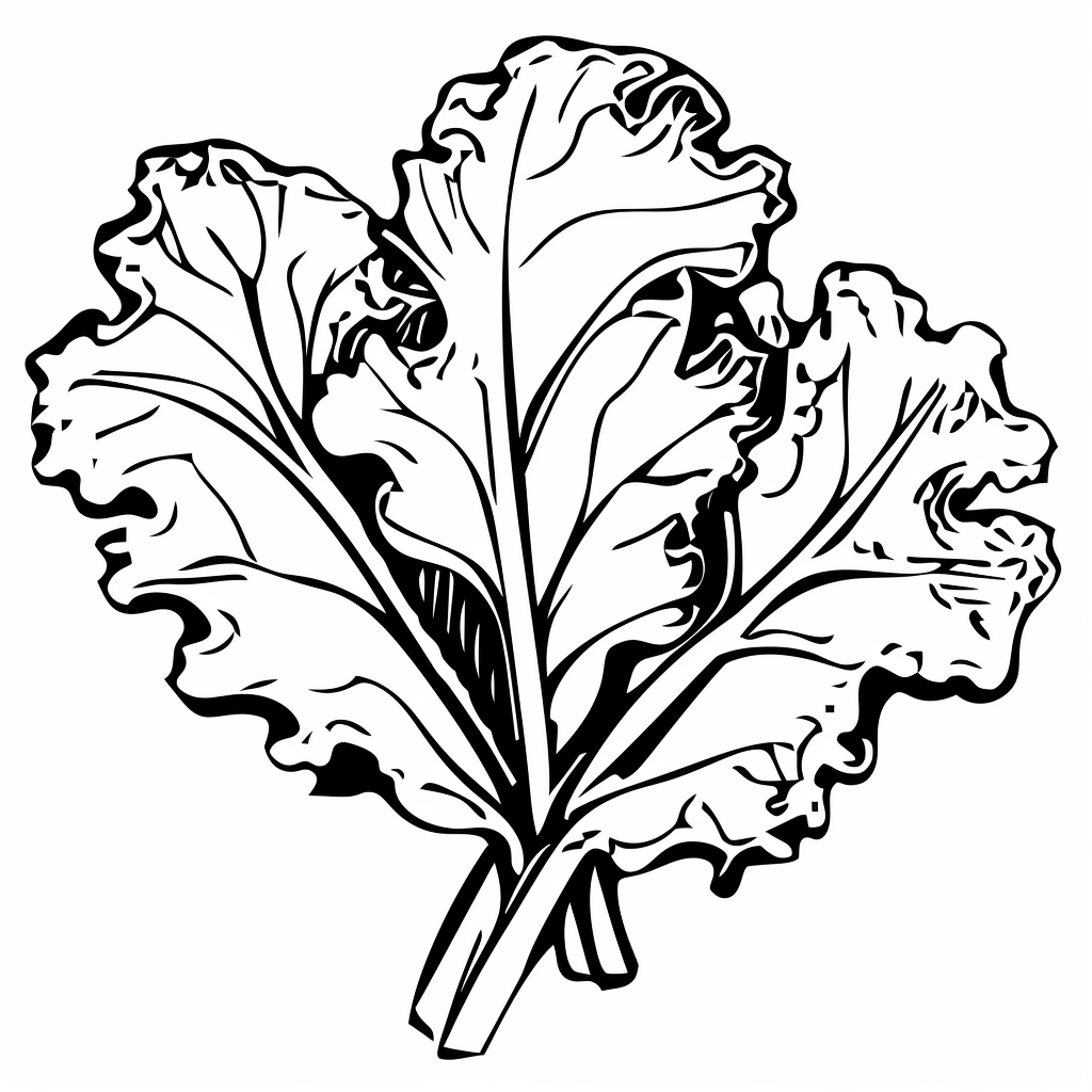 kale cliparts