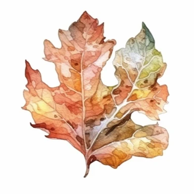 illustration of a white oak leaf, watercolor art, cartoon artstyle, warm color palette, clipart, isolated on a white background, very high quality, 8k