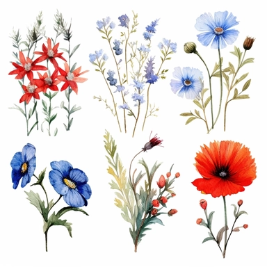 Clipart, beautiful field flowers isolated in blue and red , watercolor paints, isolated objects on white background, digitally rich, beautiful combination, high quality, 8K – q 2 – s 750