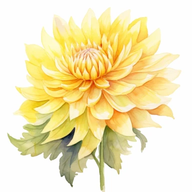 Watercolor lemon yellow dahlia clipart on a white background in the style of feminine sticker art, Tanya Shatseva, storybook illustration, sunny hues, Georgia O'Keeffe, flower and nature motifs, colored line art, colored outlines, cottagecore design, watercolor on white background, ombre, warm tones, colored line art, colored outlines, iridescent ombre, gradient shading, summer sunshine tone, vibrant digital art oil paint photorealism, an illustration of a colored flower, meticulous sketches, Ma