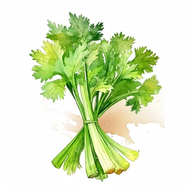 celery clipart, watercolor style, white isolated background, bright colors, simple design, 4k, hdr