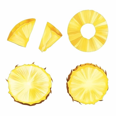 Pineapple slices set, slices in and without peel, Pineapple Illustrations, Slice of Food Illustrations, Vector Illustrations, Cross Section Illustrations, Illustration Illustrations, Circle Illustrations, Leaf Illustrations, Fruit Illustrations, Cut Out I