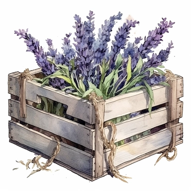 18th century wooden crate with some lavender flowers, in the style of watercolor illustrations, iconic, mystic symbolism, animated gifs, animal motifs, organic material, varied brushwork, clipart
