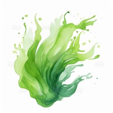 single algae clipart graphic vector white background cartoon style drawing watercolor