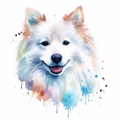 American Eskimo Dog dog, water color style, clipart, white background