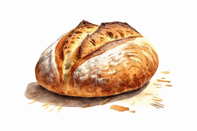 watercolor Sourdough bread clipart, hd, white background, spaced out