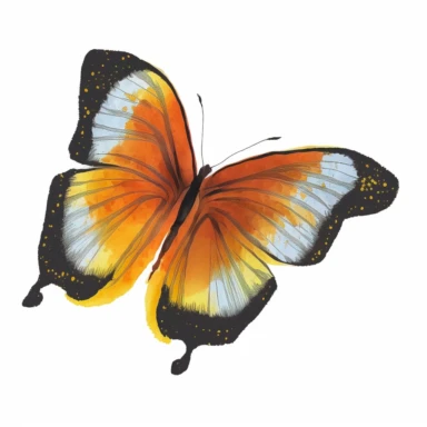 butterfly, beautiful yellow and orange colors, white background, cartoon, watercolor and realistic style, minimalist, clipart, no shadow on the ground, png clipart
