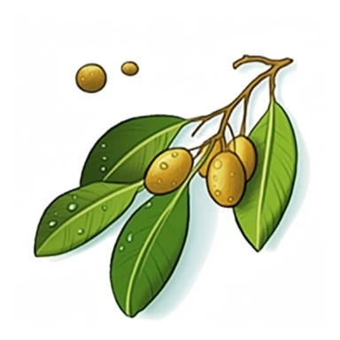 Isometric Sticker Clip Art of Lindentree Fruit, children friendly, illustrated in a playful and realistic style, perfect for any special occasion, cut out in the shape of a single very long Leaf with small balls, with no visible background, giving it the appearance of a sticker, conveying a mystical and whimsical mood, edited with Adobe Photoshop to adjust brightness and contrast, rendered as a transparent PNG file with a high resolution to ensure a crisp and clear image with no pixelation, suit