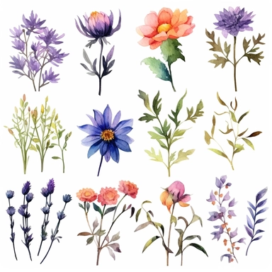 handmade Watercolor Wild Florals Clipart