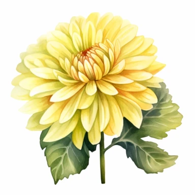Watercolor lemon yellow dahlia clipart on a white background in the style of feminine sticker art, Tanya Shatseva, storybook illustration, sunny hues, Georgia O'Keeffe, flower and nature motifs, colored line art, colored outlines, cottagecore design, watercolor on white background, ombre, warm tones, colored line art, colored outlines, iridescent ombre, gradient shading, summer sunshine tone, vibrant digital art oil paint photorealism, an illustration of a colored flower, meticulous sketches, Ma