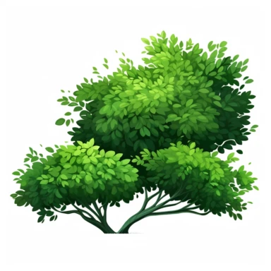 tree isolated green shrub branches bushes clipart green green plants shrub, in the style of decorative borders, angular brushstrokes,no trunk needed