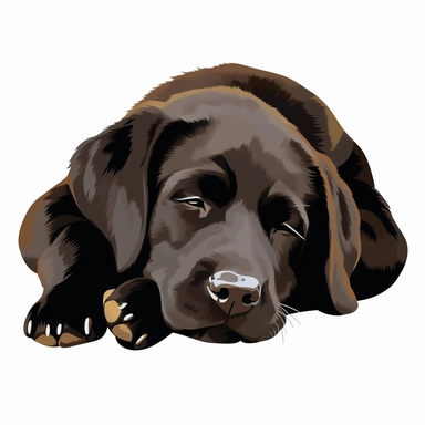 clipart cure puppy labrador retriever sleeping