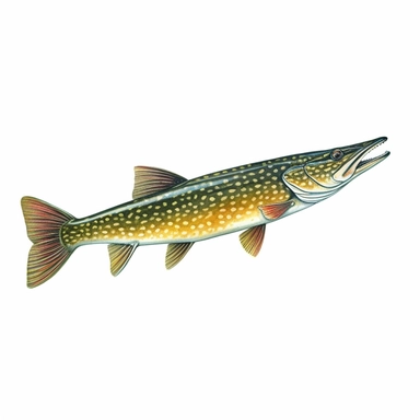 northern pike fish, isolated in white, white background with no external elements or shadows, isolated clipart figure, gorgeous colorful 3D Render