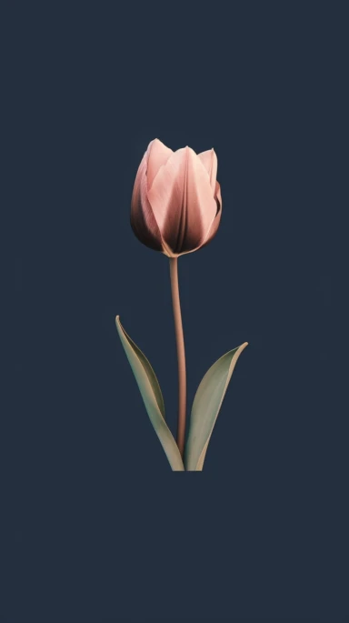 cute aesthetic minimalist iPhone wallpaper, featuring a single tulip watercolour clipart, pink, dark blue and brown elegant shades, gold edges