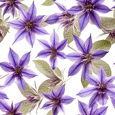 Purple borage flowers as a clipart with white background. A masterfully crafted digital artwork that explores the beauty and intricacy of purple borage flowers. The composition offers a close-up perspective, allowing the viewer to marvel at the delicate details of each petal and the unique patterns they create. Soft lighting highlights the vibrant purple tones, evoking a sense of tranquility and serenity. The artwork exhibits a contemporary realism style with a touch of impressionism, reminiscen