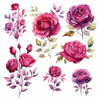 Watercolor Burgundy Roses Clipart