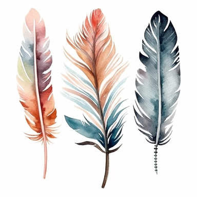 Maggie Holmes style, four boho feather , clipart, white background