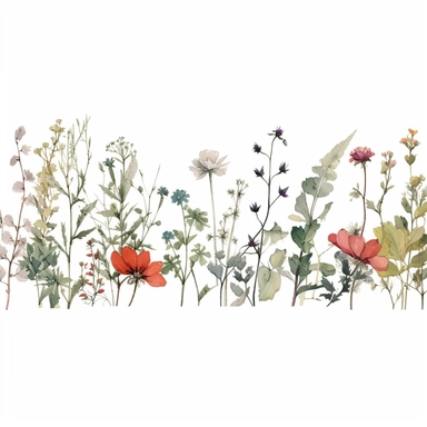 Pressed boho wild flowers cottagecore vintage botanical pastel floral nature flower garden with seamless border, clipart with white background –ar 293:151