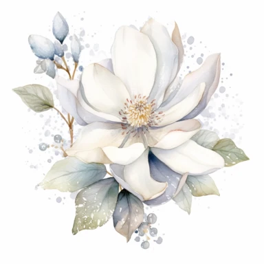 clipart magnolia, watercolor, white background, silver sequins