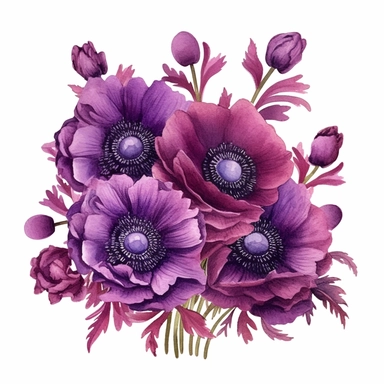 dark Magenta anemone flower bunch, watercolor, clipart, highly detailed, HD, flowers arranged in a square-shaped frame
