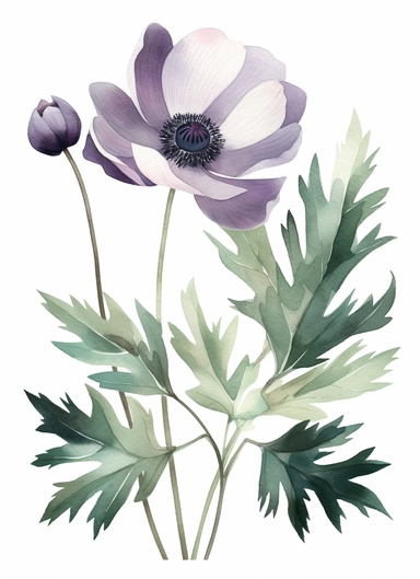 Anemone leaves Clipart, watercolor style, white background