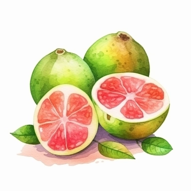 on white background cute and vibrant clipart featuring guava in watercolor style, hyper realistic photo flat color