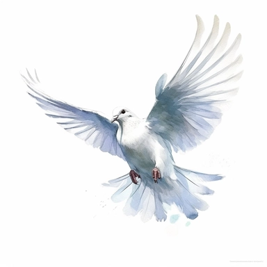 drawn illustration of a single dove with wings spread, clip art, watercolor, digital art, HD, white background, clean line art