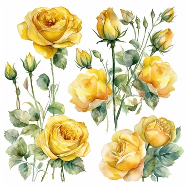 clipart set of buttercup yellow roses, whimsical watercolor painting, separated with white margins between each item, isolated on white background
