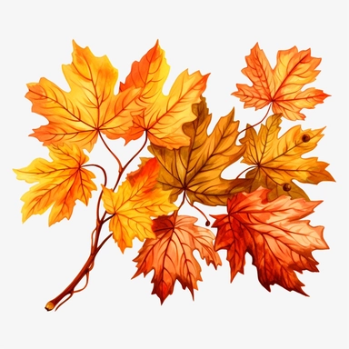 Autumn foliage clipart, hd