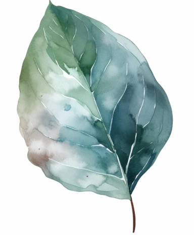 watercolor clipart illustration of a leaf green and grey, in the style of meticulous design, minimalistic serenity, light turquoise and dark white, oil paintings, dark green and light crimson, naturalistic poses, imitated material