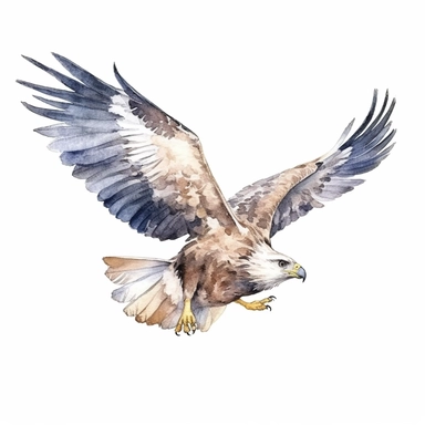 an adorable eagle flying with kind eyes clipart with watercolor illustration,full body shot,8k,etsy style, white background