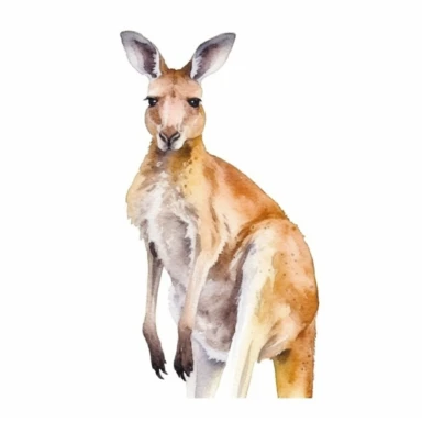 Watercolor clip art on white background, Australian kangaroo, soft pastel, vintage, cinematic, dramatic, ultra realism,4k, very detailed, white background,