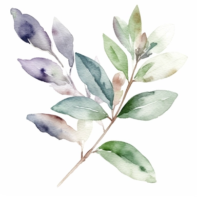 watercolor, a piece of botanical item clipart, faded barely visible color