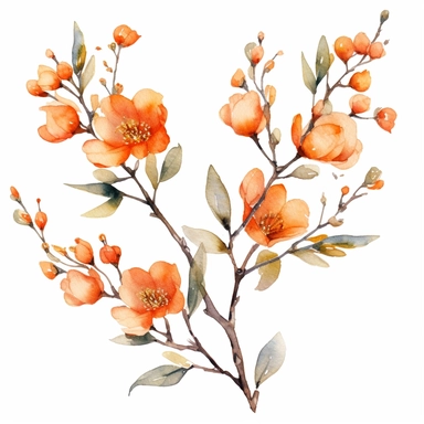 orange flowers branch, watercolor clipart