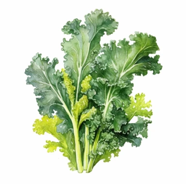 Kale in garden realistic detailed, watercolor clipart, vibrant colors, white background